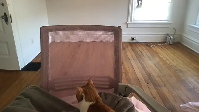 loveofbea online show from 03.04.26