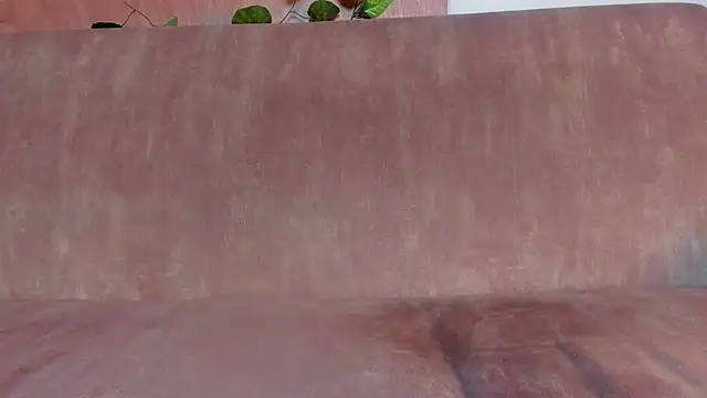 sammyfox97 online show from 11.14.25