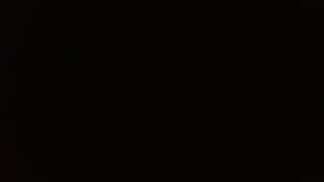 Stefanny Taylor  online show from 03.02.26