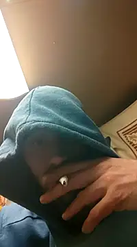 Rejtelmesest online show from 01.20.25