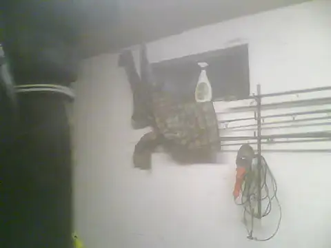 Rejtelmesest online show from 02.22.25