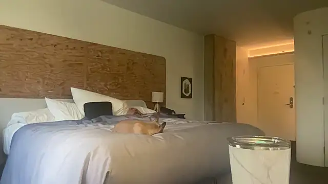 BabyJayNasty online show from 09.29.25