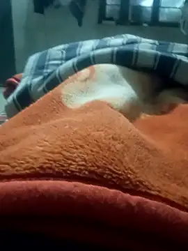 rjxraj online show from 01.11.26