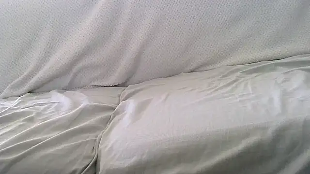 petardroutier online show from 11.11.25