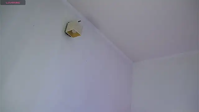 dustyn fox online show from 03.08.25