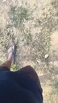 lustboyX online show from 04.03.26