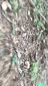 lustboyX online show from 04.05.26