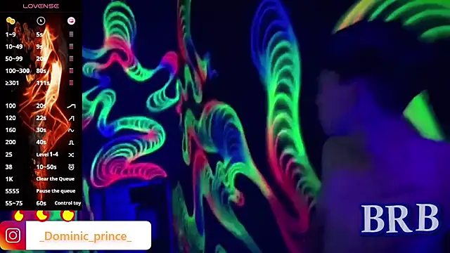 Snapshot of DominicPrince chatting on 10.01.25 DominicPrince online show from 10.01.25