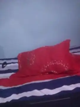 DigCrok online show from 10.22.25