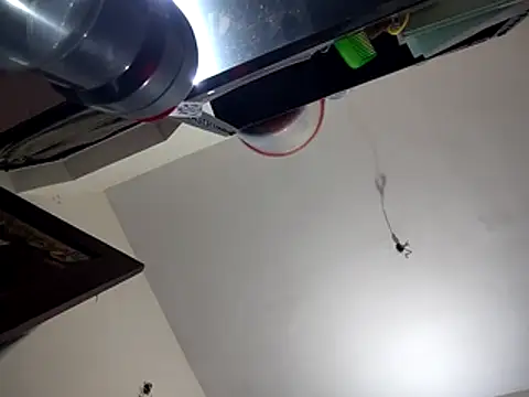 bigvorn6 online show from 03.29.26