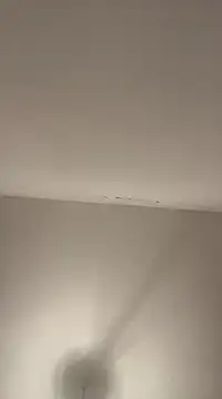 petan33 online show from 12.18.24