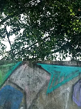 IgoramorimGG online show from 04.04.26