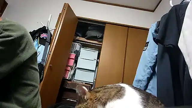 07YUKIO online show from 04.13.26