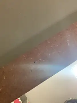 Snapshot of smithrosinha chatting on 09.19.25 smithrosinha online show from 09.19.25