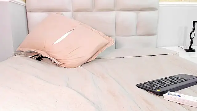 Snapshot of BruceNixon chatting on 02.11.25 BruceNixon online show from 02.11.25