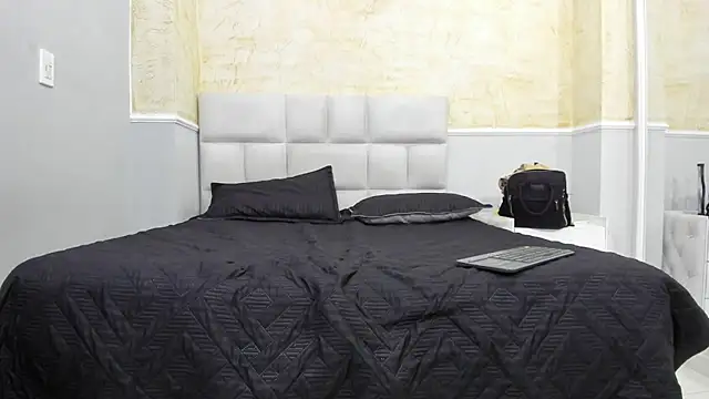 Snapshot of BruceNixon chatting on 02.15.25 BruceNixon online show from 02.15.25