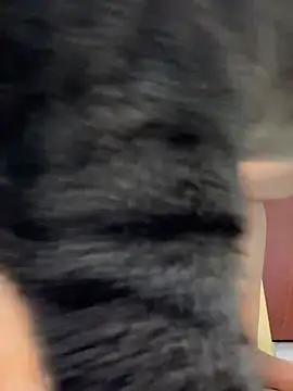 Barbielatinas online show from 02.14.26