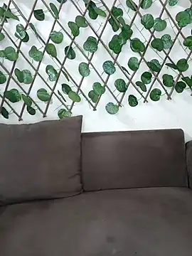 Bold-Cat online show from 11.17.25