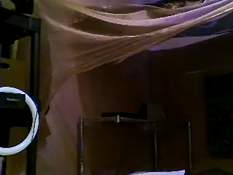 Snapshot of JdLove1 chatting on 12.31.24 JdLove1 online show from 12.31.24