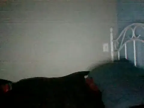 SmokingSloth online show from 03.16.25