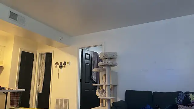 SpunCandy online show from 09.12.25