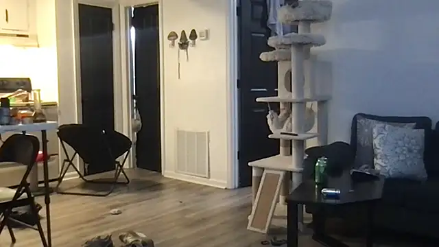 SpunCandy online show from 10.01.25