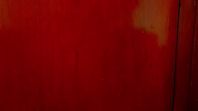 Snapshot of anisha_x chatting on 10.01.25 anisha x online show from 10.01.25