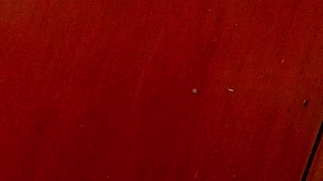 Snapshot of anisha_x chatting on 10.04.25 anisha x online show from 10.04.25