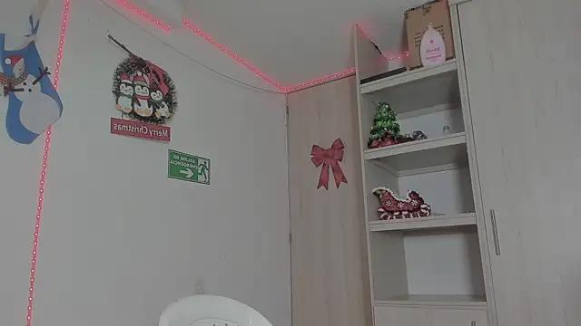 Snapshot of _diegsz_ chatting on 12.15.24 diegsz online show from 12.15.24