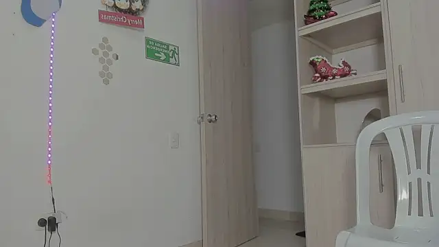 Snapshot of _diegsz_ chatting on 12.27.24 diegsz online show from 12.27.24