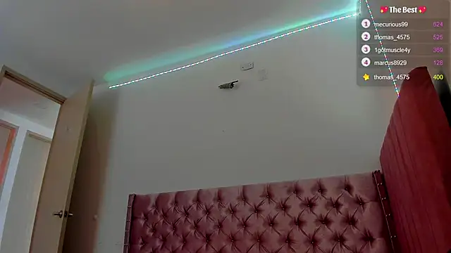 Snapshot of _diegsz_ chatting on 02.27.25 diegsz online show from 02.27.25