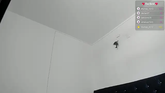 Snapshot of _diegsz_ chatting on 03.21.25 diegsz online show from 03.21.25