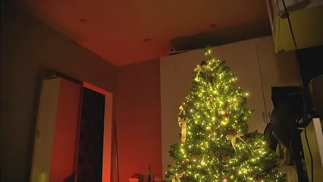 Snapshot of Arianna_Richi chatting on 12.30.24 Arianna Richi online show from 12.30.24