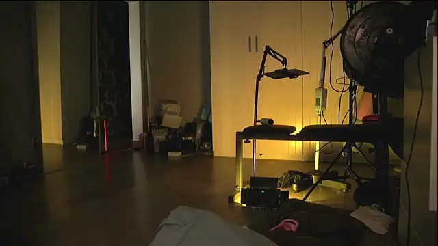 Snapshot of Arianna_Richi chatting on 02.27.25 Arianna Richi online show from 02.27.25