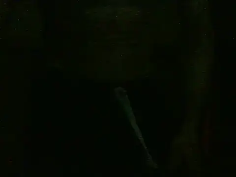 dangerman94 online show from 10.22.25