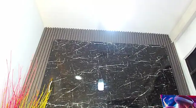 Snapshot of NalaRoy chatting on 12.15.24 NalaRoy online show from 12.15.24