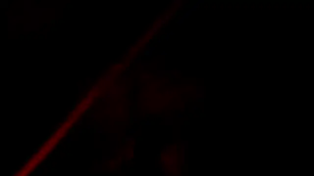 evely coelloo online show from 11.04.25