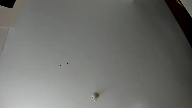 evely coelloo online show from 11.05.25