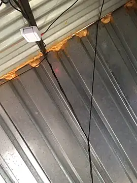 realGsign online show from 02.09.25