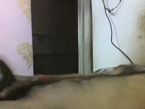 Desi GfBf online show from 03.03.25