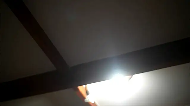 Bellis Perenis online show from 02.27.26