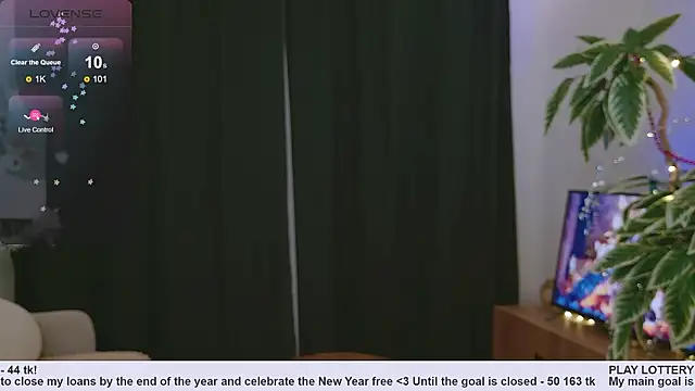 Snapshot of Pink_SeaGul chatting on 12.31.24 Pink SeaGul online show from 12.31.24