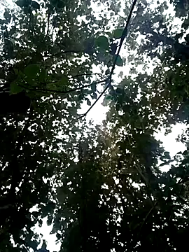 Snapshot of Fucker_boy_1 chatting on 01.19.25 Fucker boy 1 online show from 01.19.25