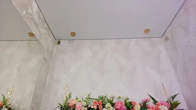 AliceBrayan online show from 12.19.25