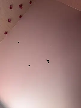 -Sexy Barbie- online show from 12.27.24
