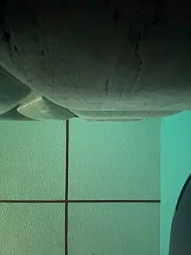 Snapshot of dulce_celeste15 chatting on 11.15.25 dulce celeste15 online show from 11.15.25