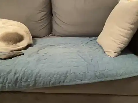 Snapshot of 4small4inchlol chatting on 02.20.26 4small4inchlol online show from 02.20.26