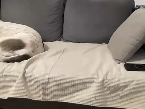 4small4inchlol online show from 03.21.26