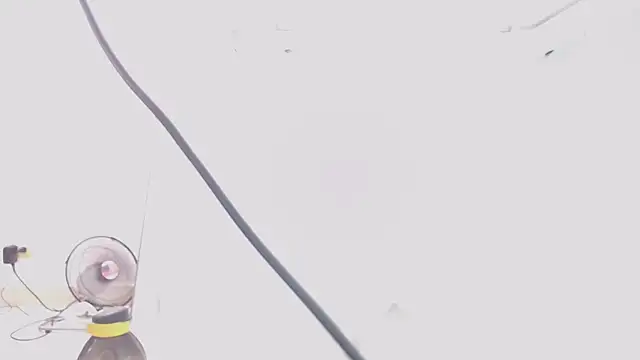 jhon tomson1 online show from 02.15.25