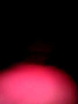 Porco81cazzo online show from 12.04.25